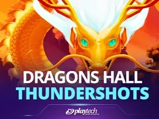 Dragon's Hall Thundershots screenshot